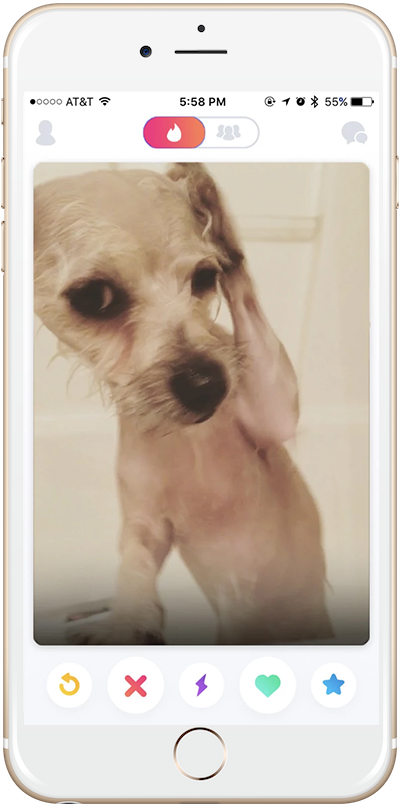 dog-screenshot